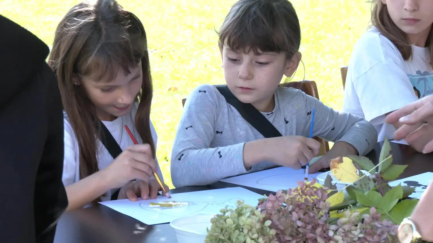 24092024-piknik-sko-2.mp4