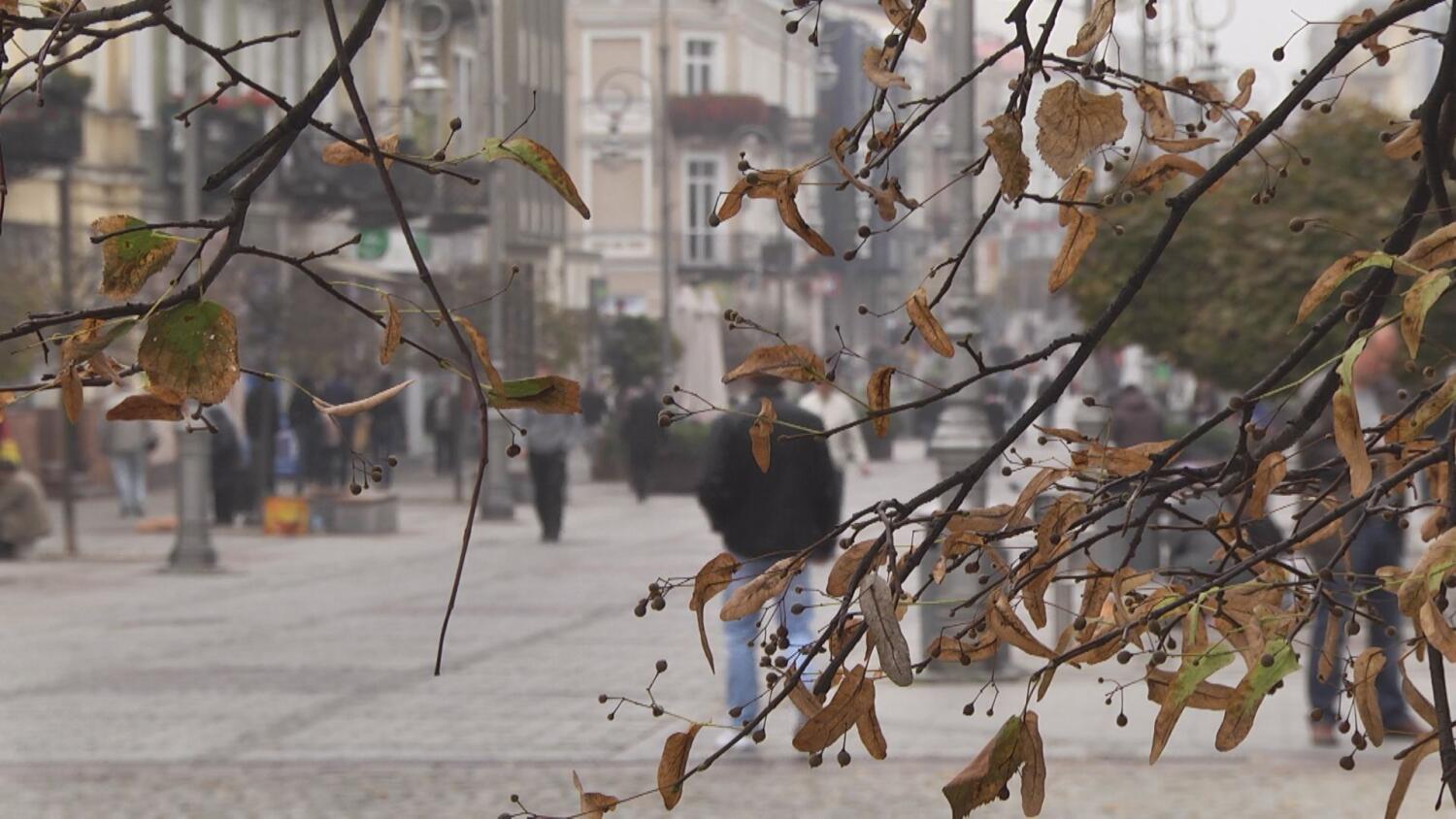 02102024-jesienna-chandra-popr.mp4