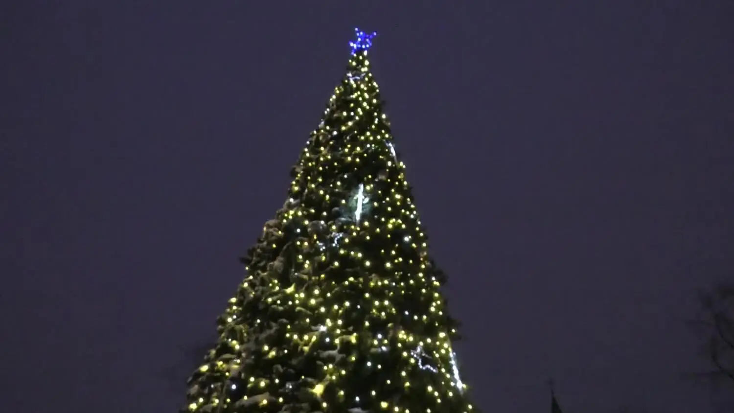 04122024-choinka-konskie-zapowiedz-poprawiona.mp4