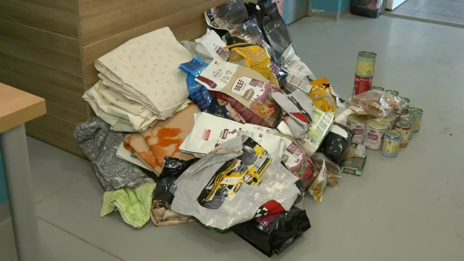 05122024-schronisko-zbiorka.mp4