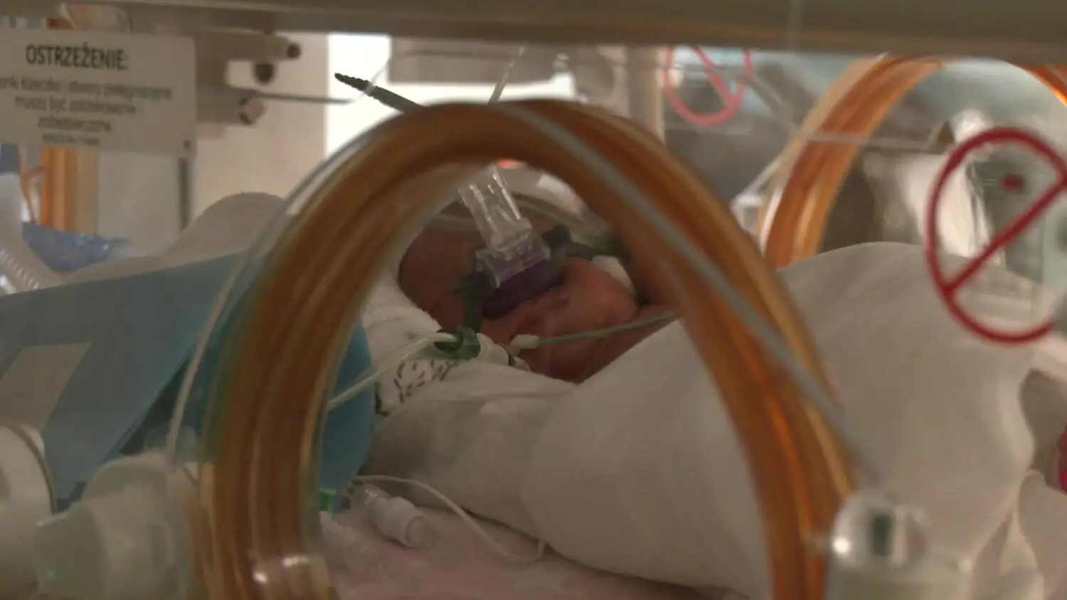 12-12-noworodki-popr2.mp4