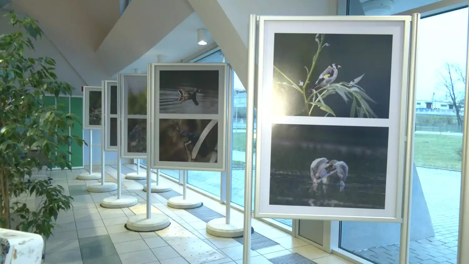 28112024-swiadomy-koncert-pop.mp4