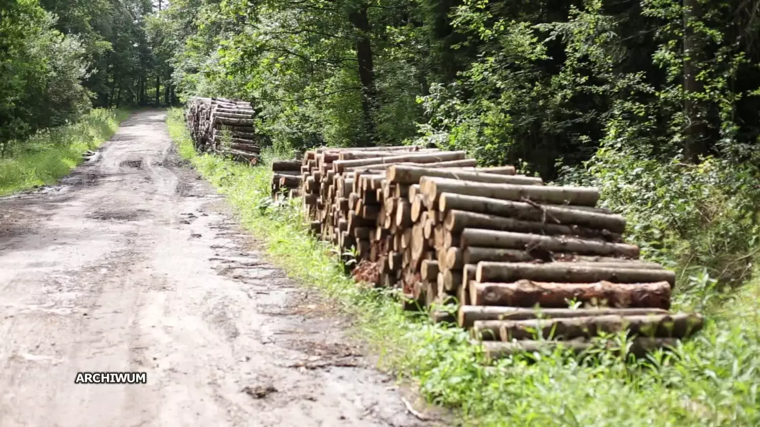 06032025-odwolanie-nadlesniczego.mp4