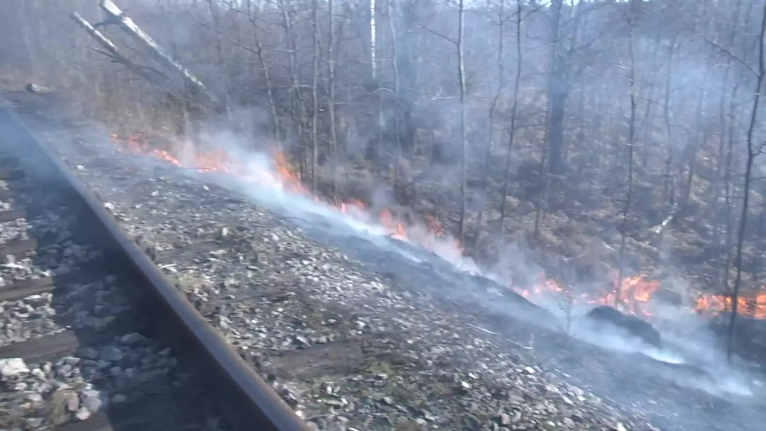 11032025-wypalanie-traw-bajur.mp4