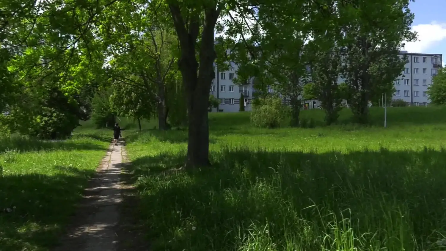 30052025-planty-przejecie-skarzysko.mp4