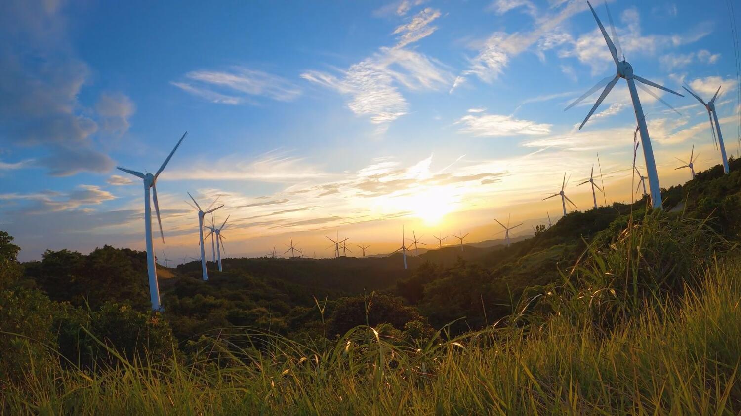 08072025-ustawa-wiatrakowa.mp4