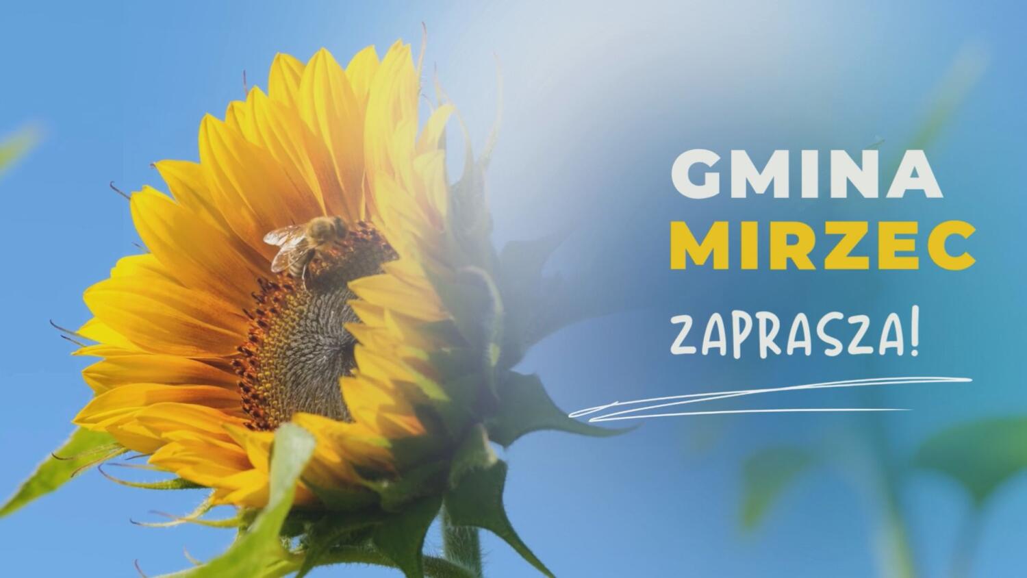 08-05-2025-gmina-mirzec-zaprasza-popr.mp4