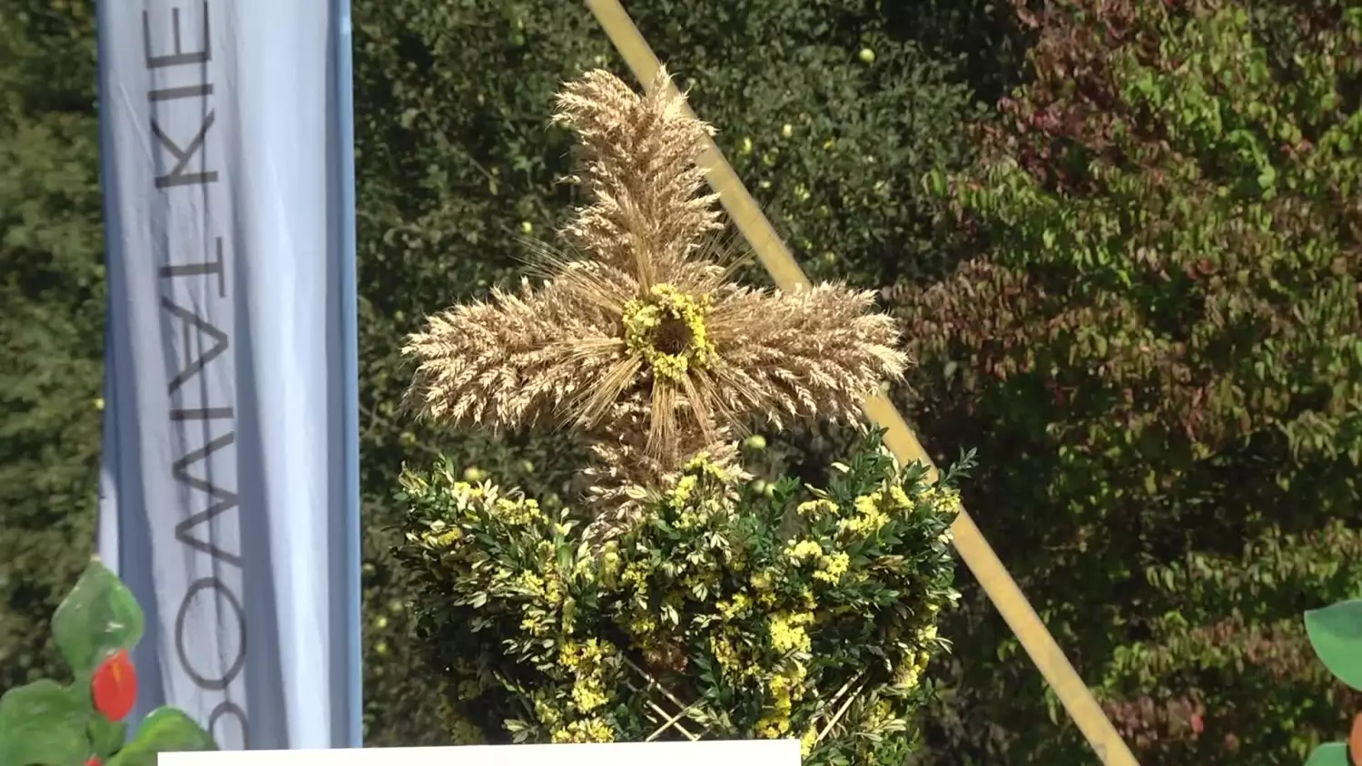 07082025-dozynki-sedziszow.mp4