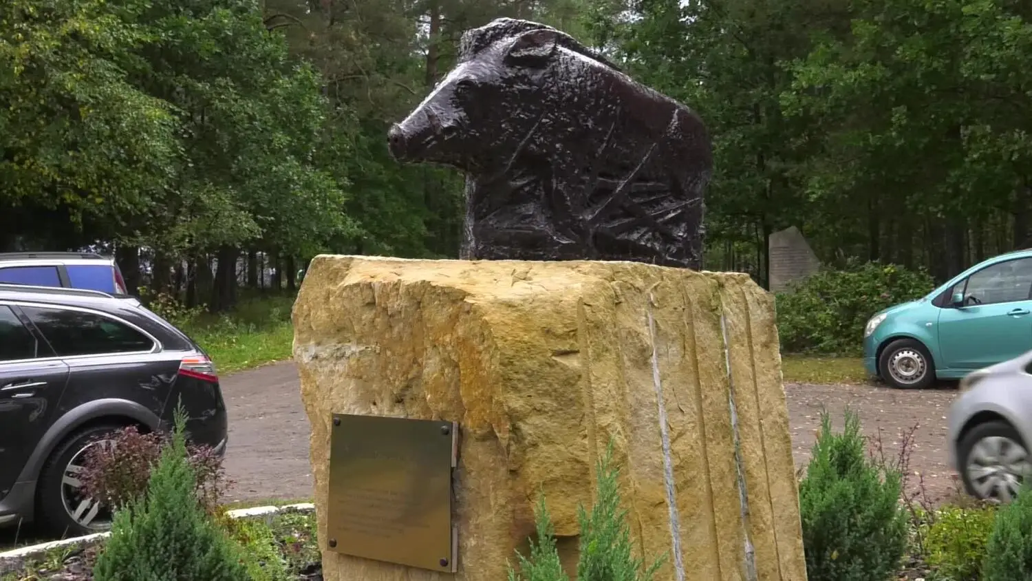 08092025-piknik-dzik-stefan-suchedniow.mp4