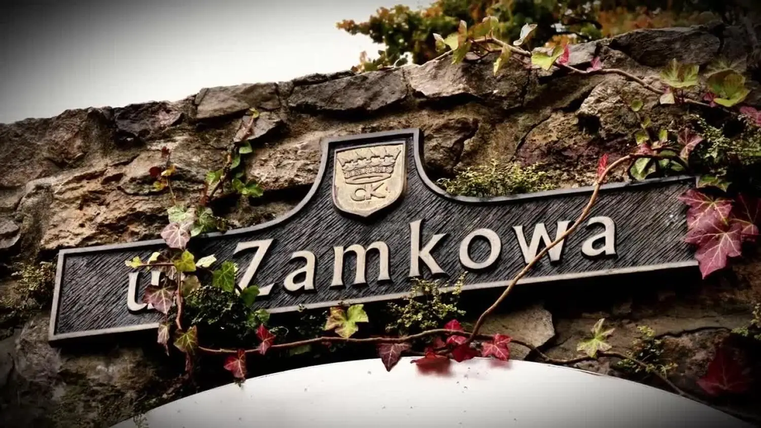 29102025-ulica-zamkowa-niech-pamiec-trwa.mp4