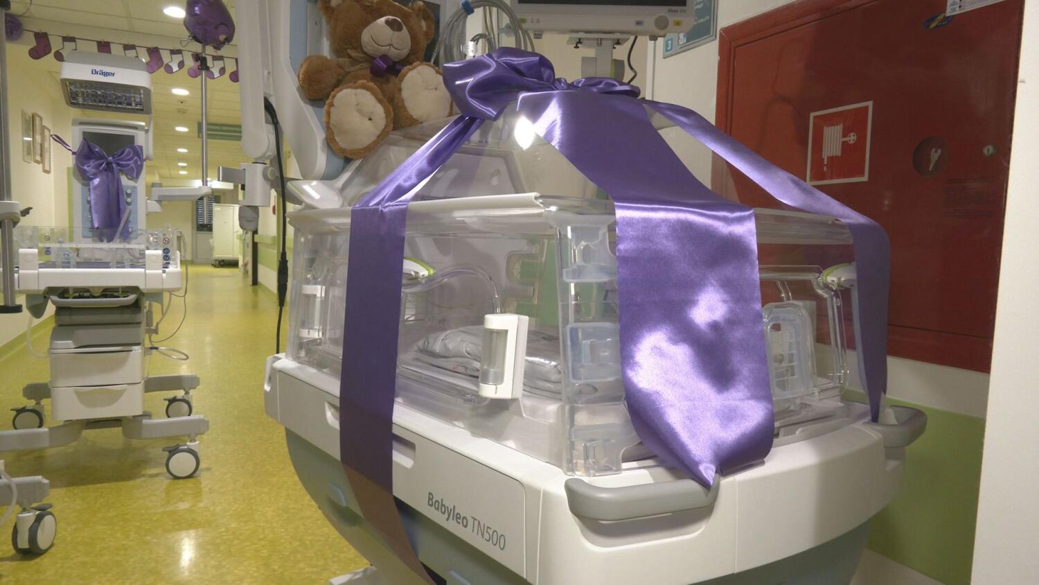 17112025-inkubatory-dla-wszz.mp4