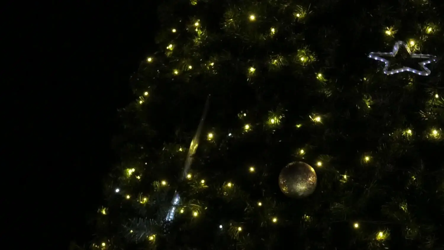 03122025-choinka-konskie-zapowiedz.mp4